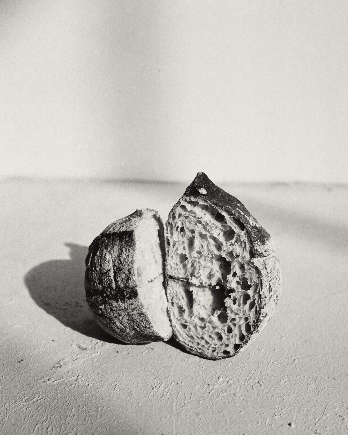 A round loaf of sourdough split in two, its open crumb facing the light.